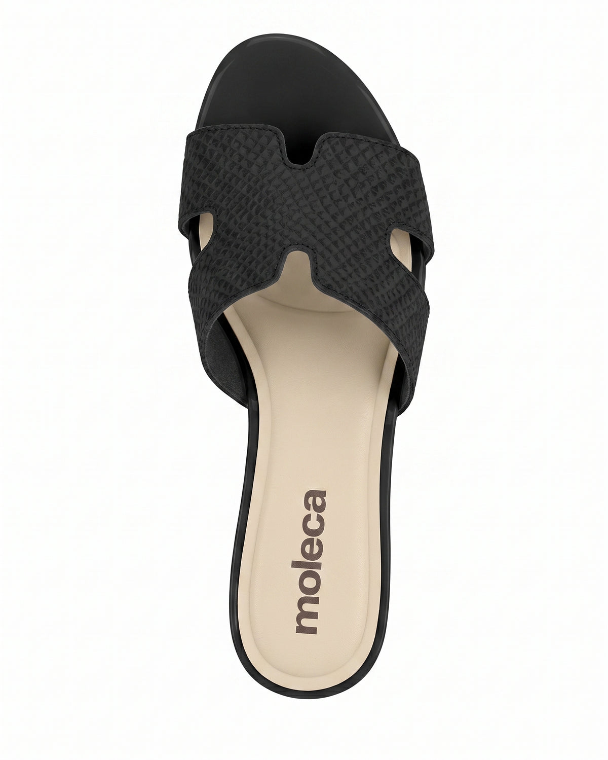 MOLECA