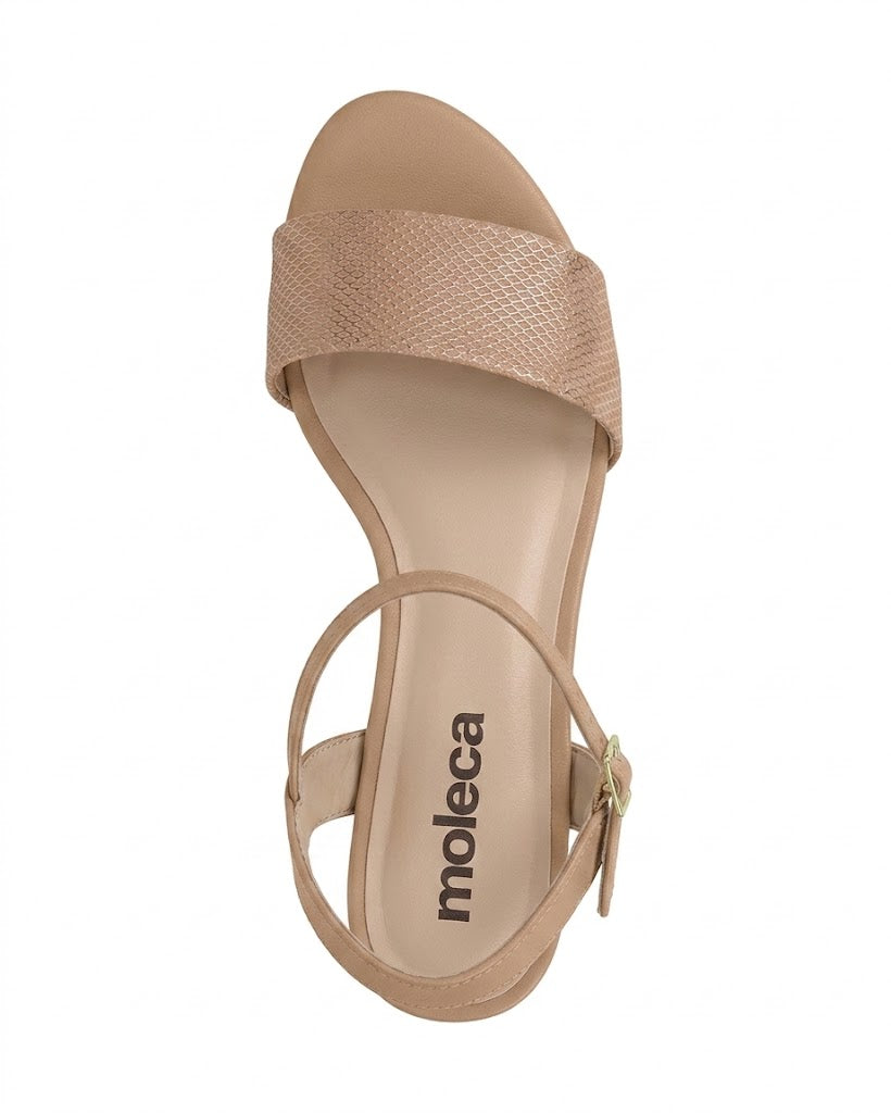MOLECA