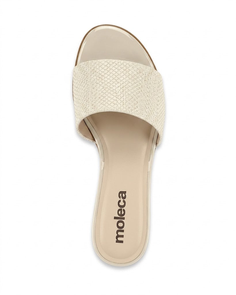 MOLECA